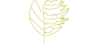 250114_ortie et plantain